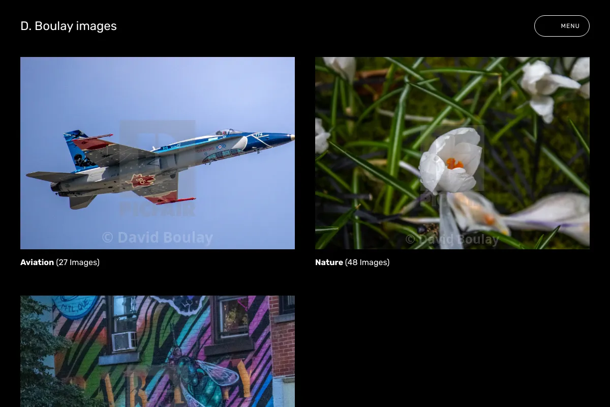 D. Boulay images