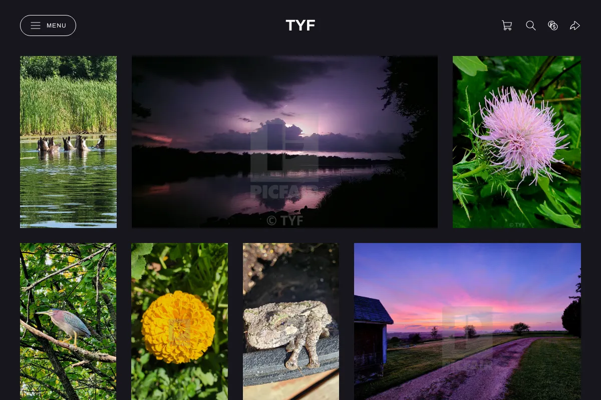 TYF