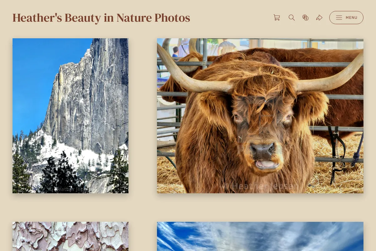 Heather's Beauty in Nature Photos