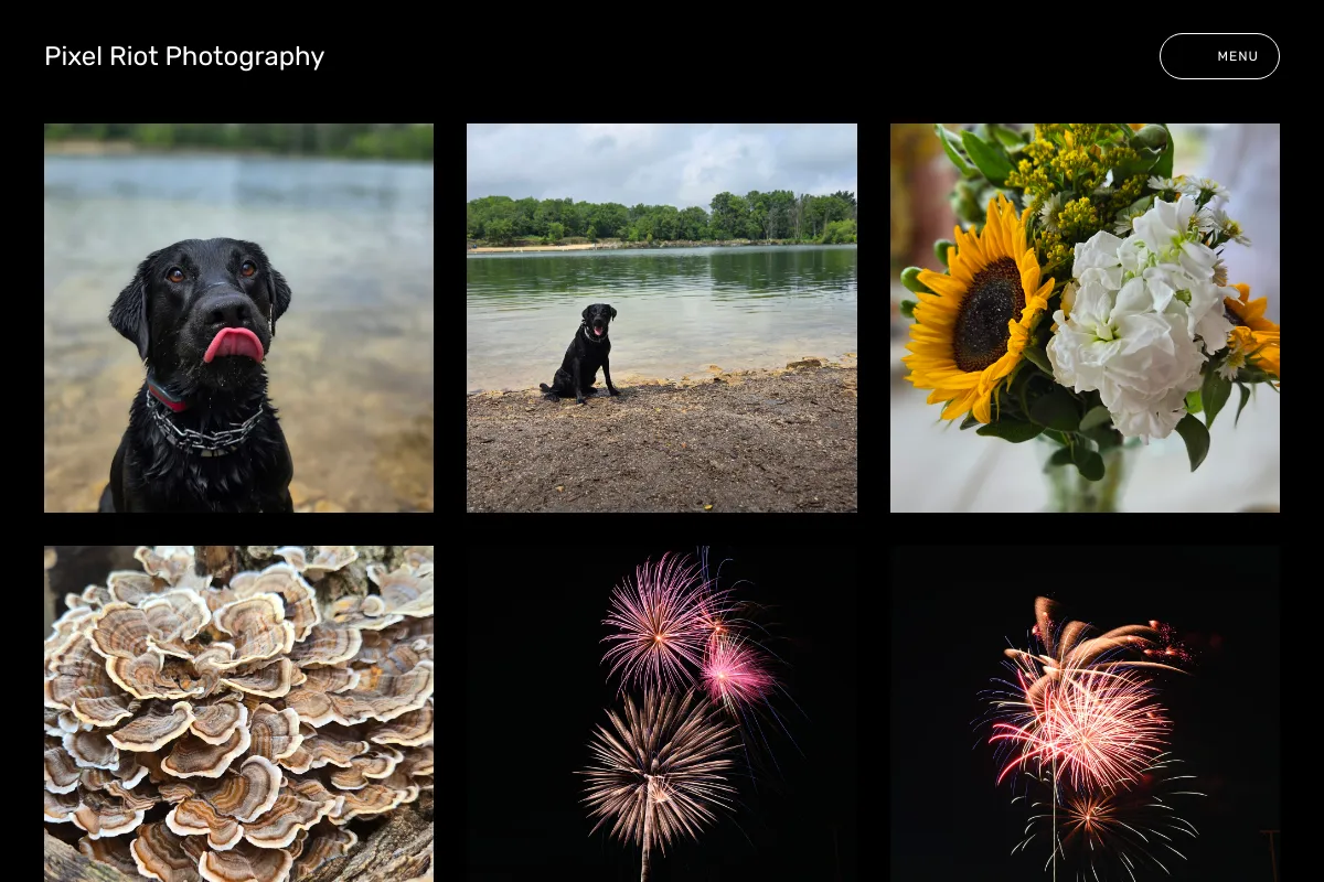 Pixel Riot Photography 