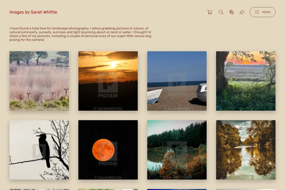 Images by Sarah Whittle