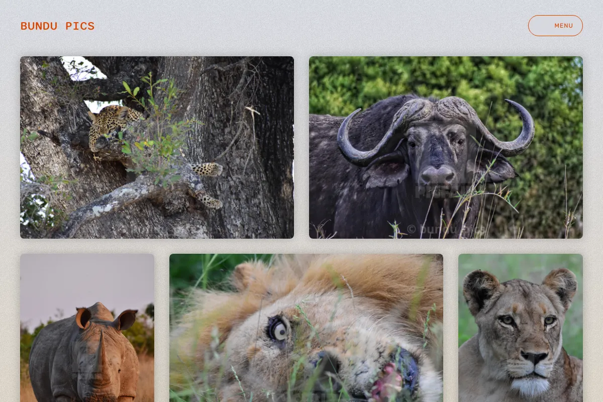 Bundu Pics