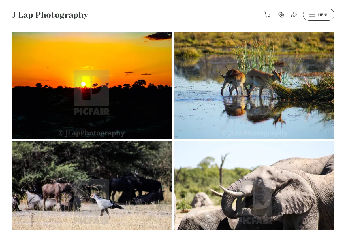 J Lap Photography