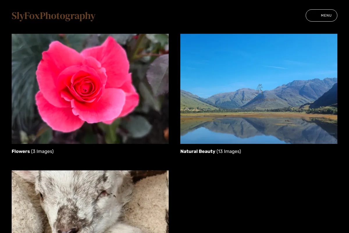 SlyFoxPhotography