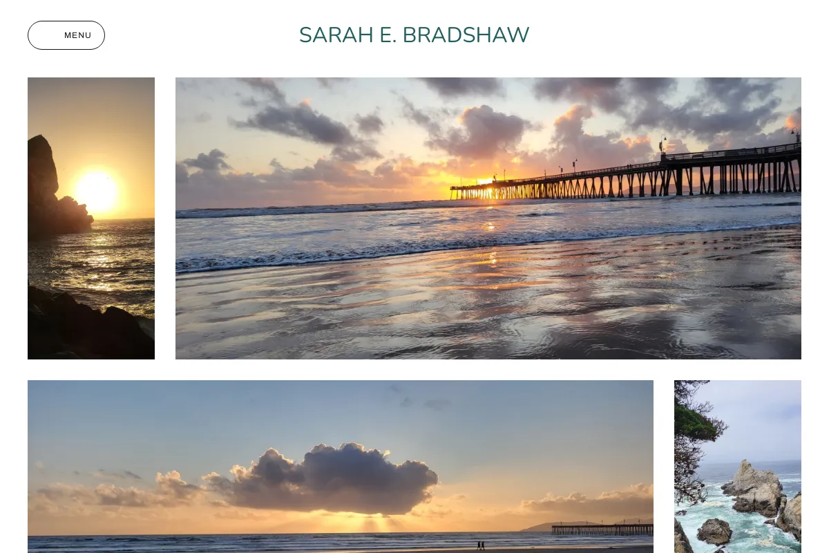 Sarah E. Bradshaw