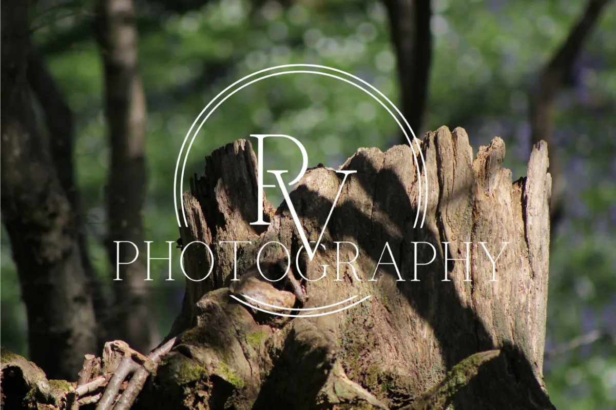 PV  Photograpy
