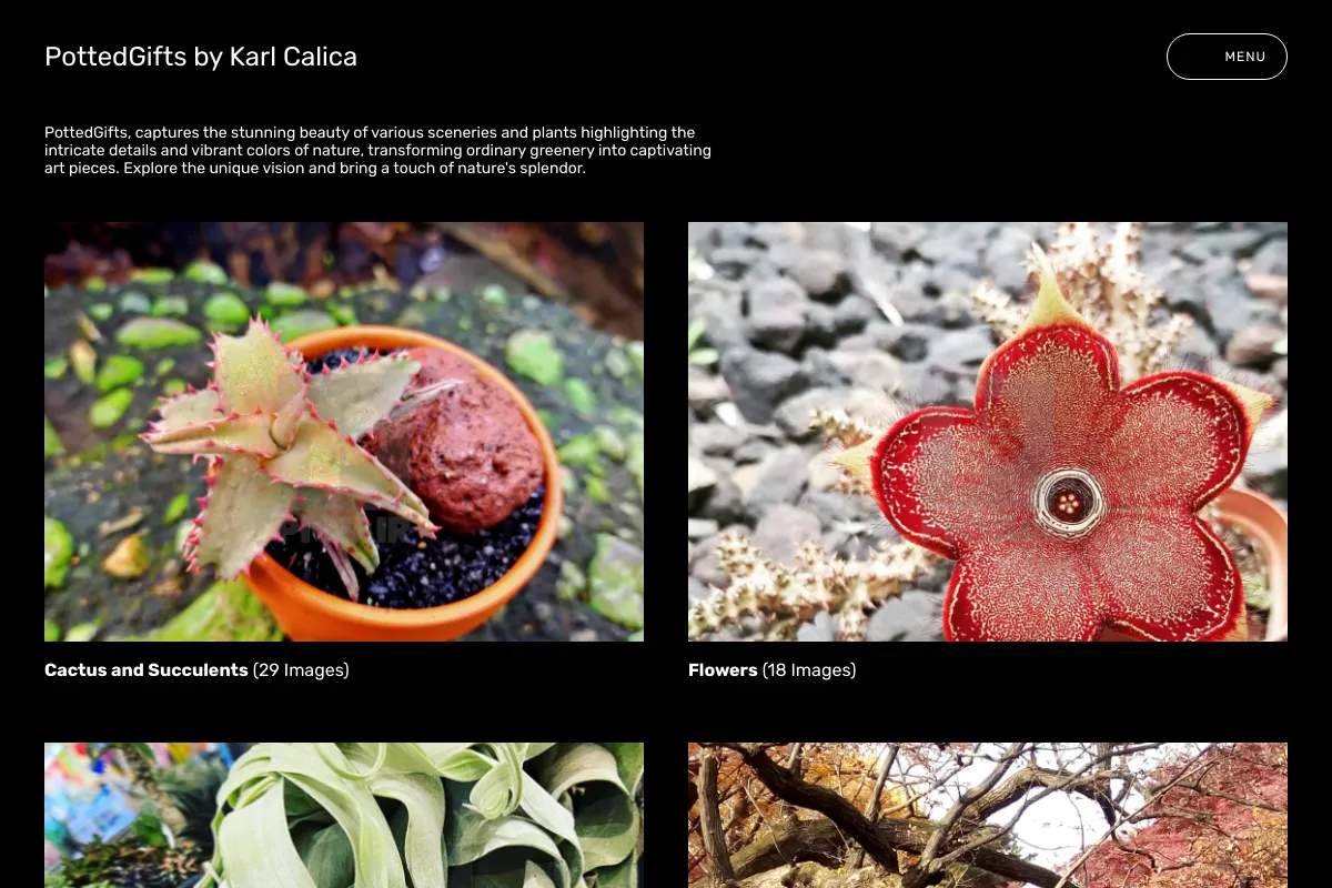 PottedGifts by Karl Calica