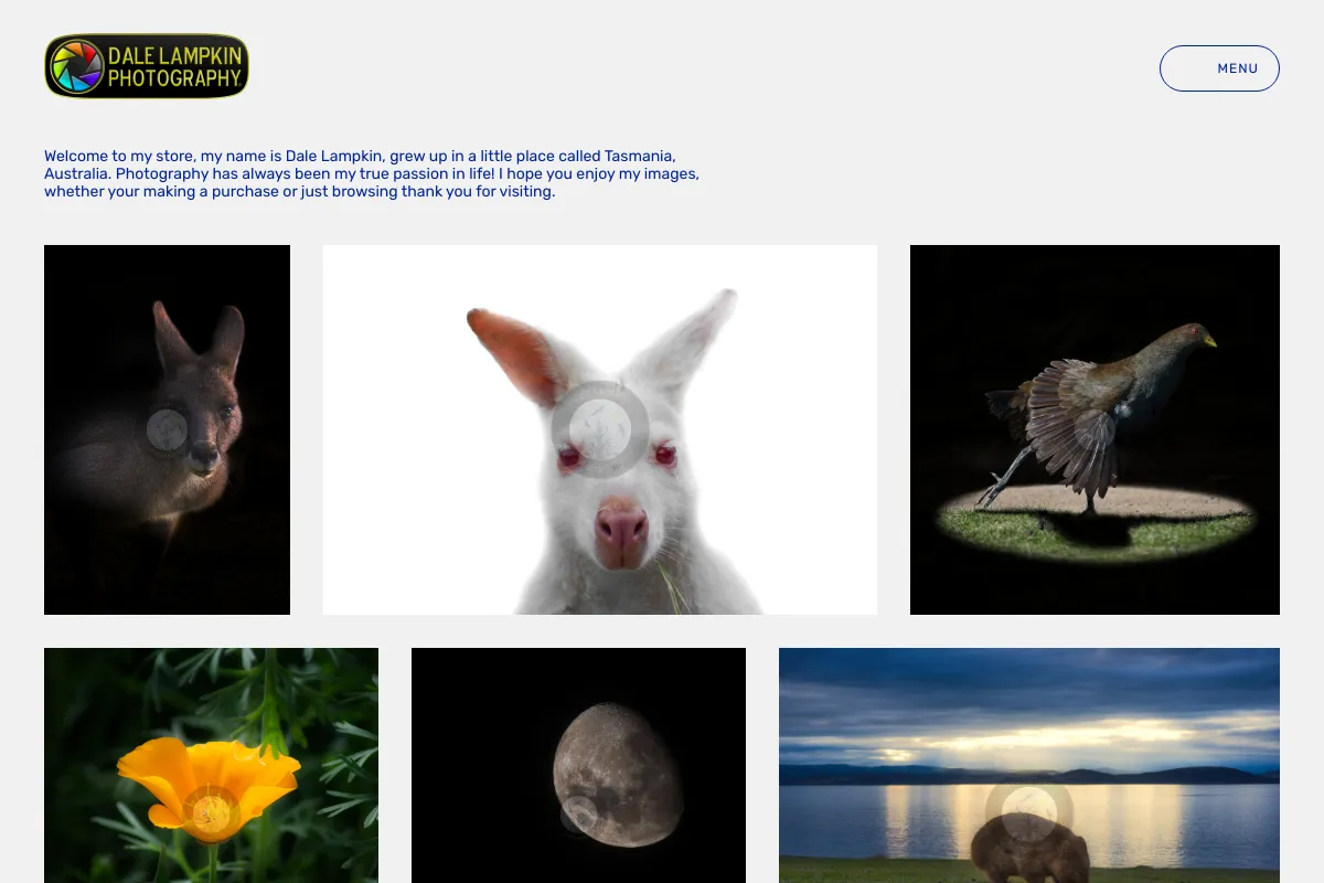 Dale Lampkin Photography