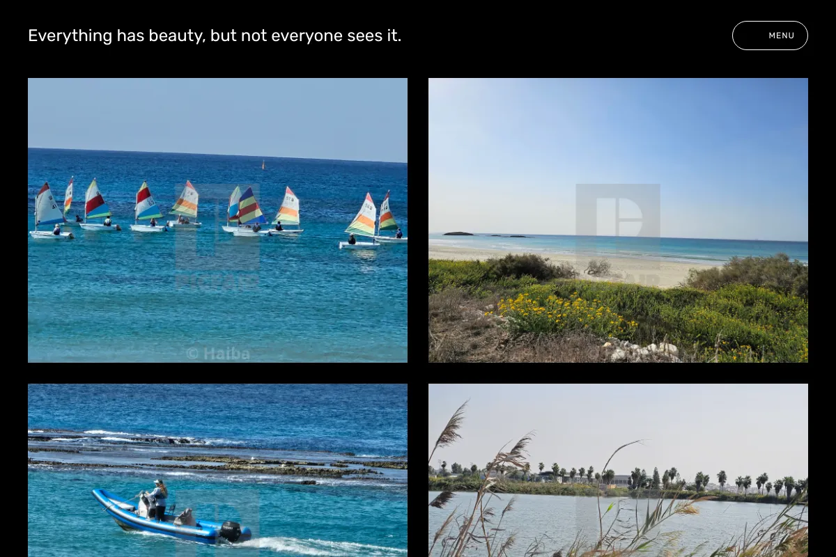 Everything has beauty, but not everyone sees it.