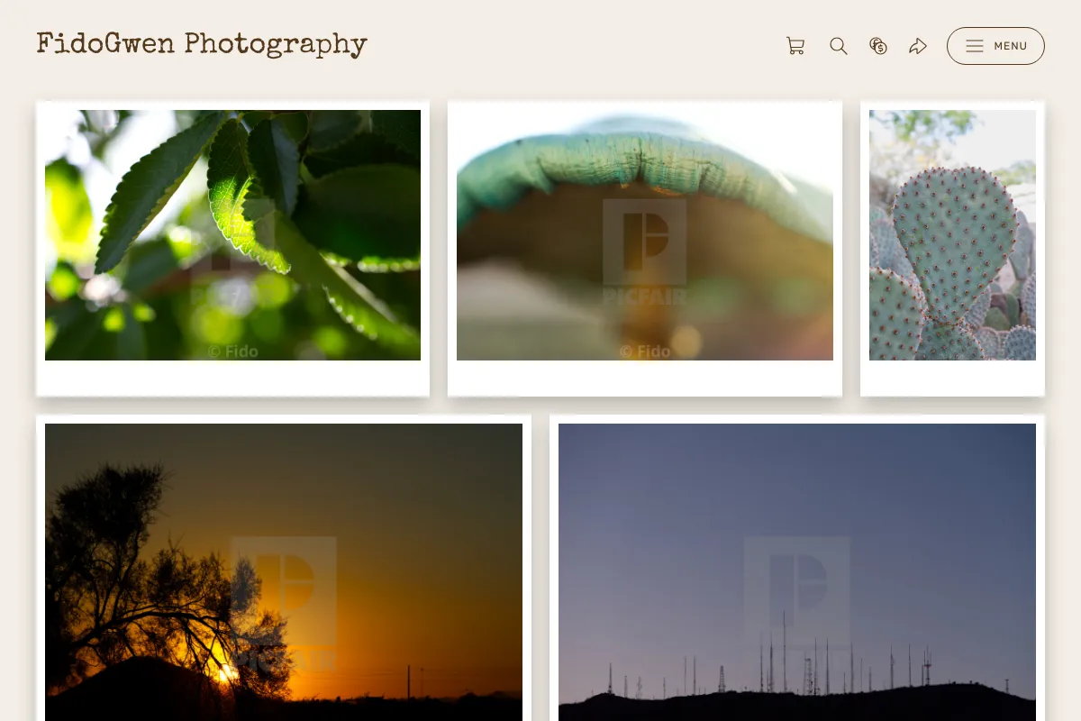 FidoGwen Photography 