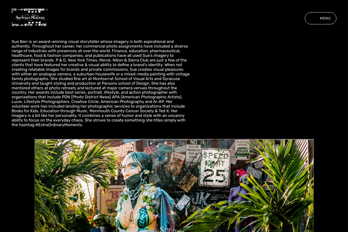 Analoge Musings & Other Visual Documentations 