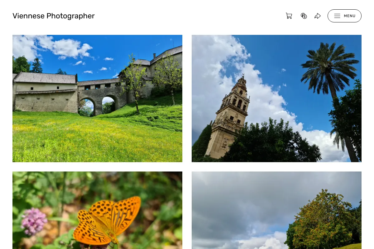 Viennese Photographer