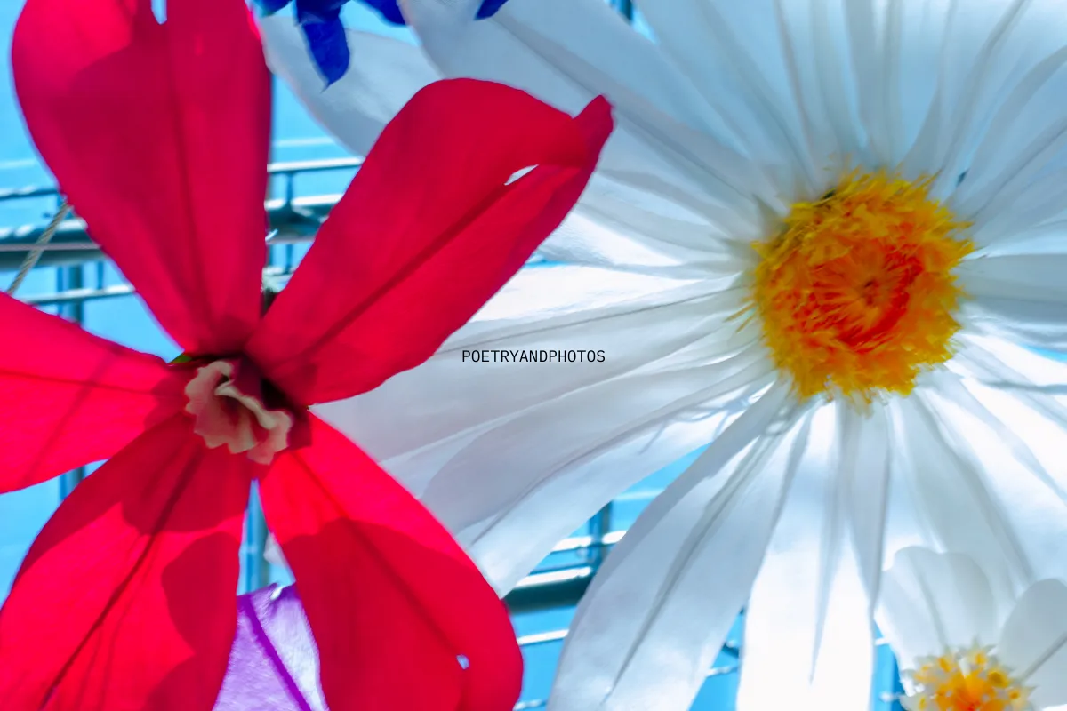 poetryandphotos