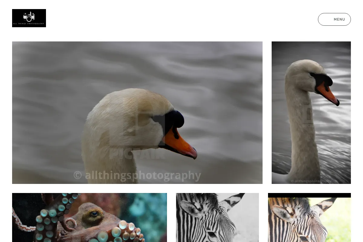 All Things Photography