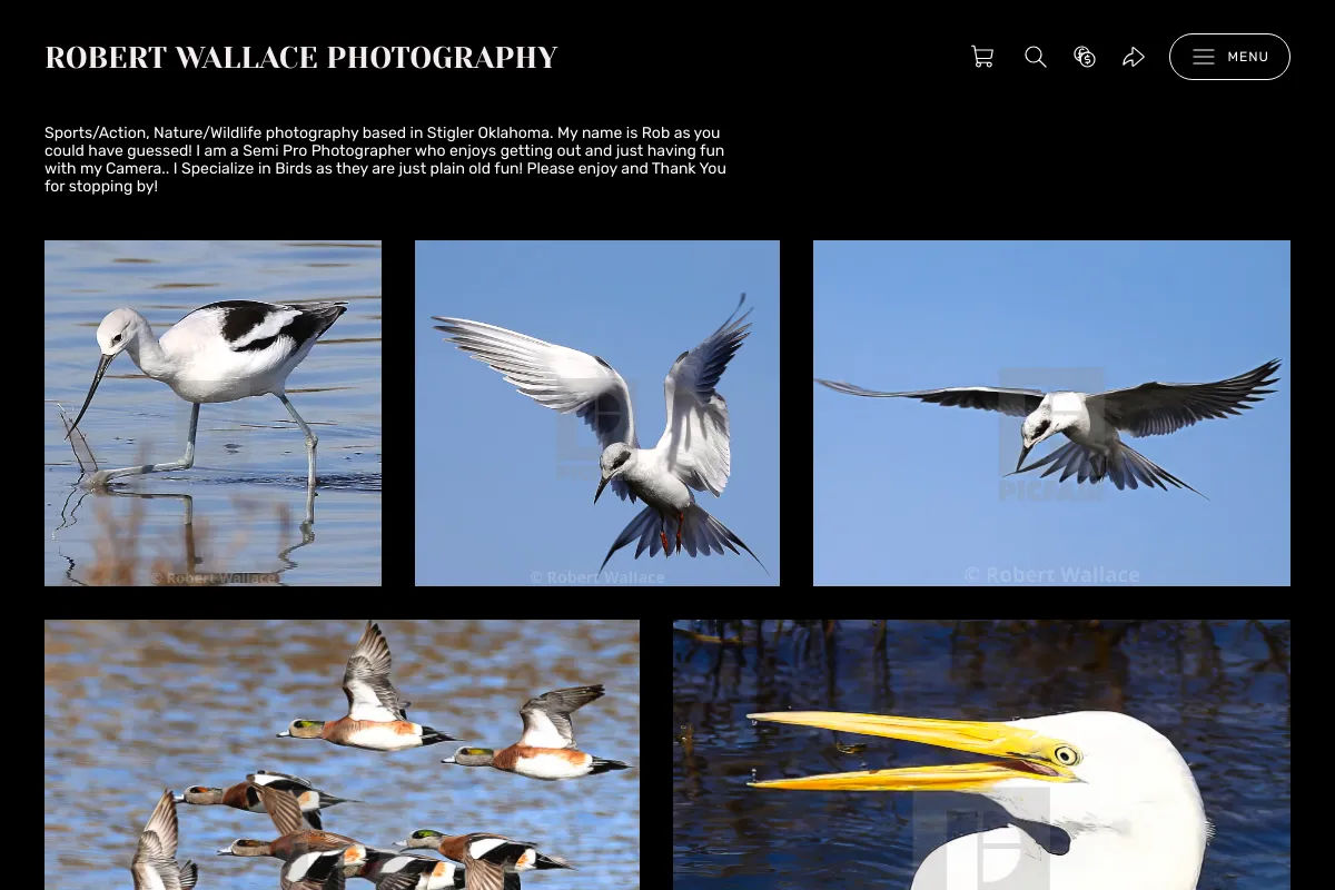 Robert Wallace Photography