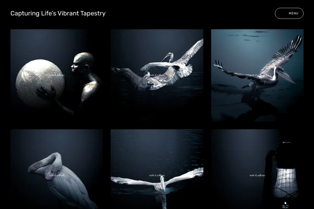 Capturing Life’s Vibrant Tapestry