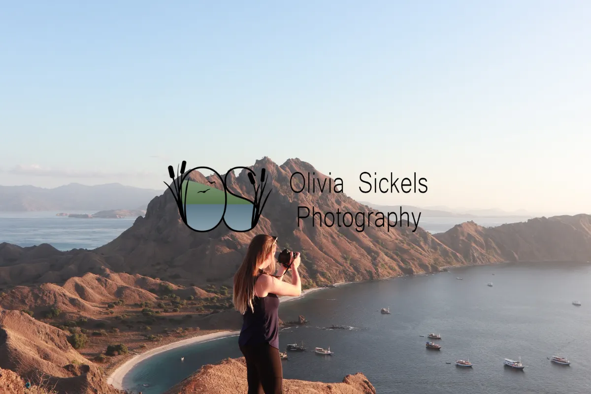 Olivia Sickels Photography