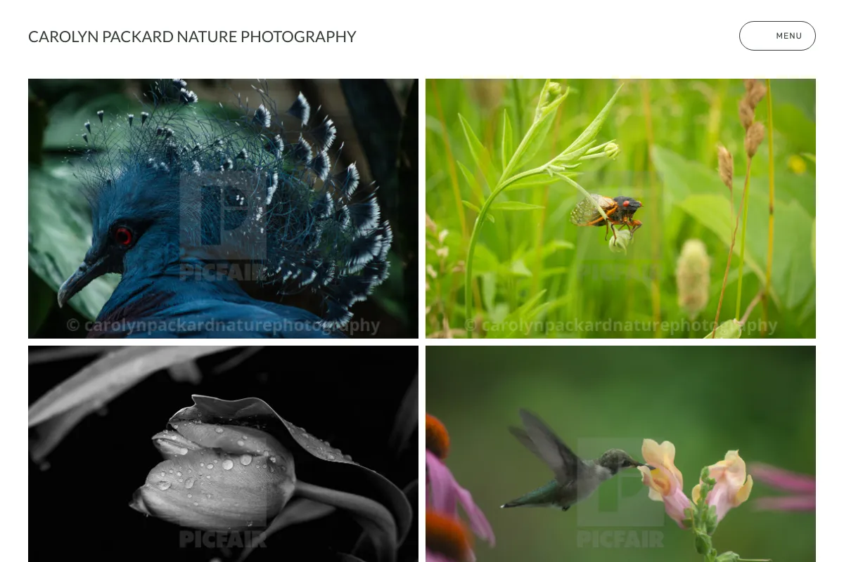 Carolyn Packard Nature Photography