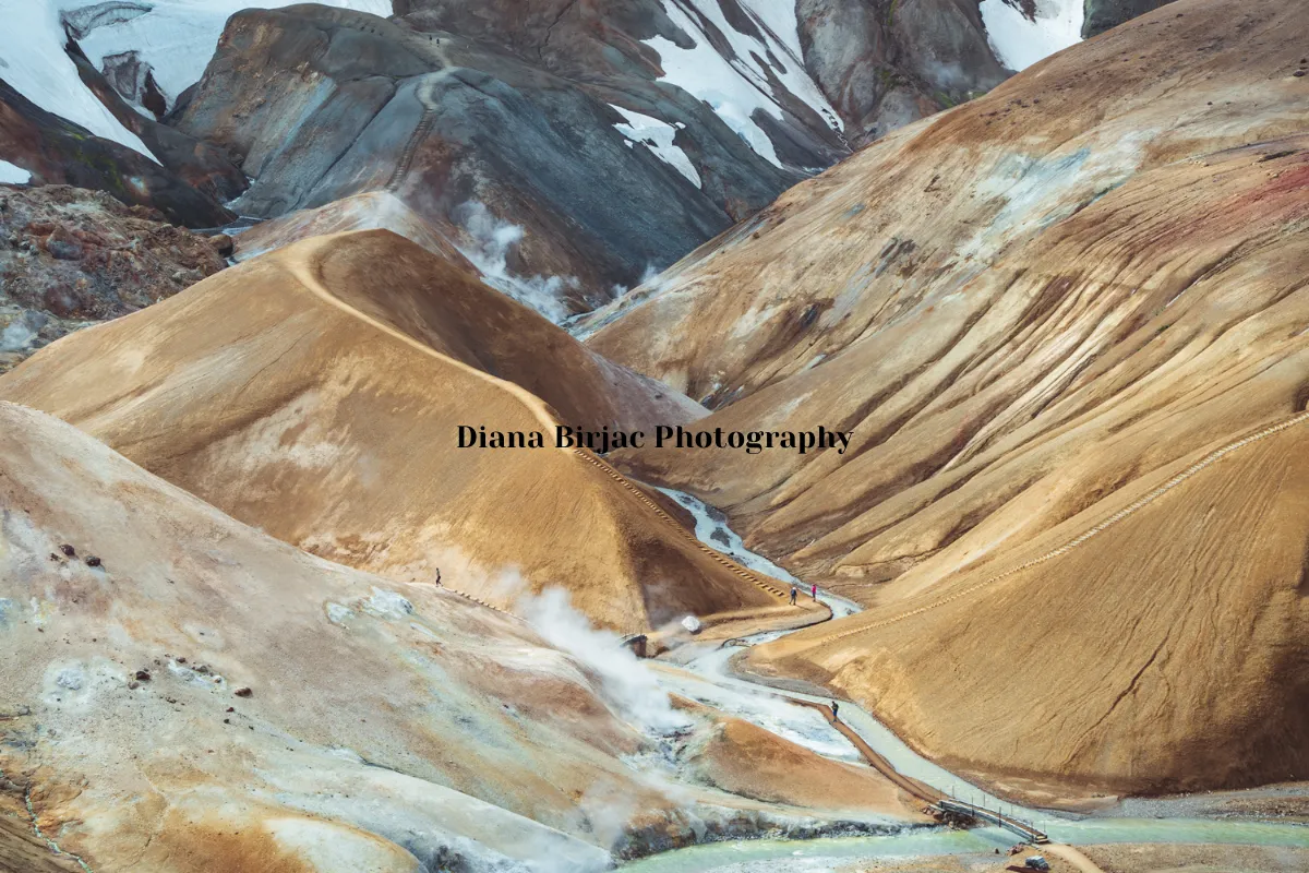 Diana Birjac Photography