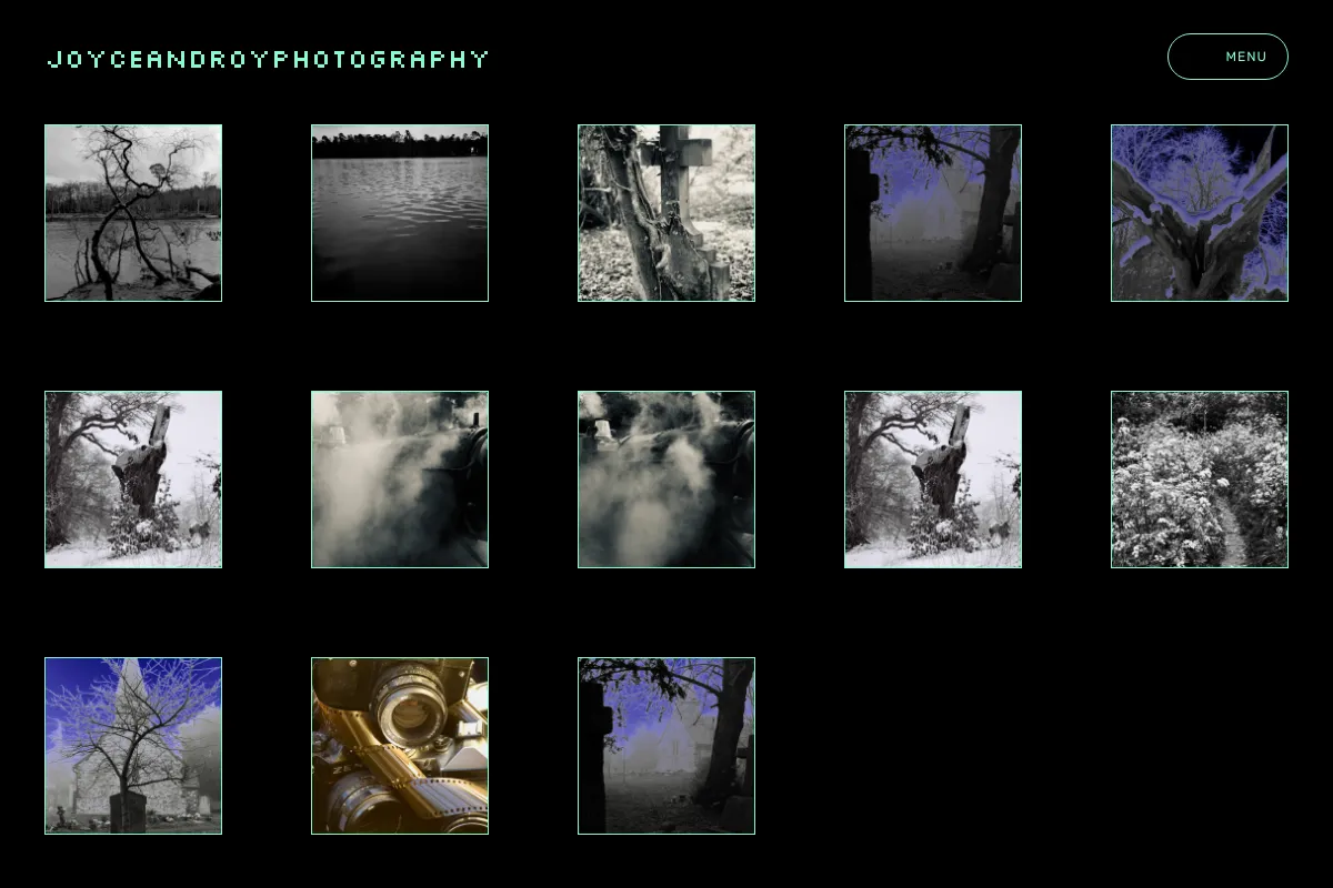 joyceandroyphotography
