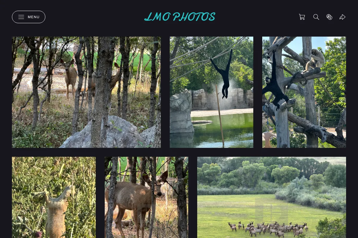 LMO Photos