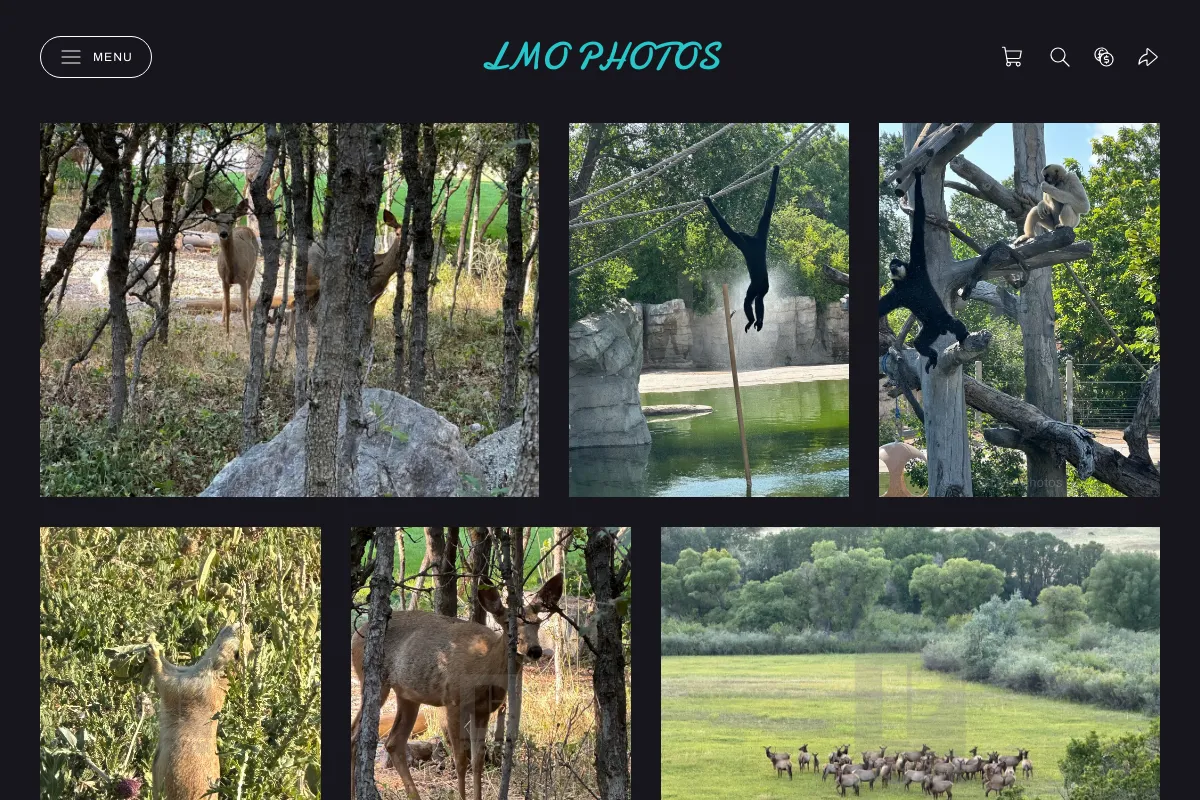 LMO Photos