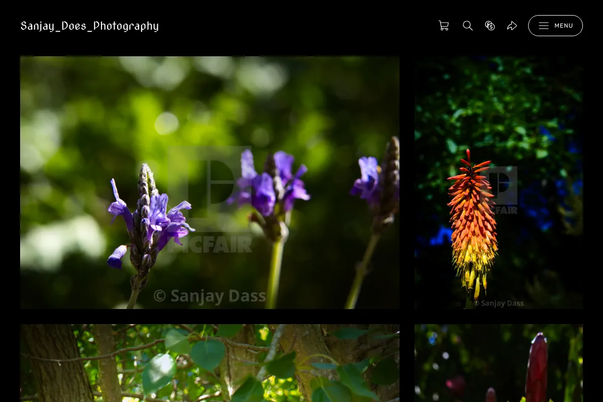 Sanjay_Does_Photography