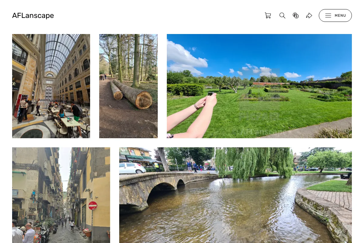 AFLanscape