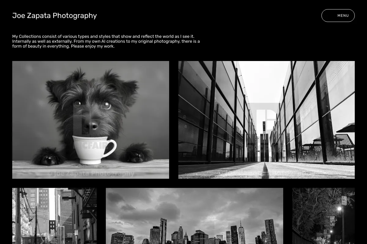 Joe Zapata Photography