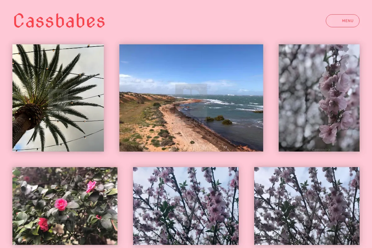 Cassbabes