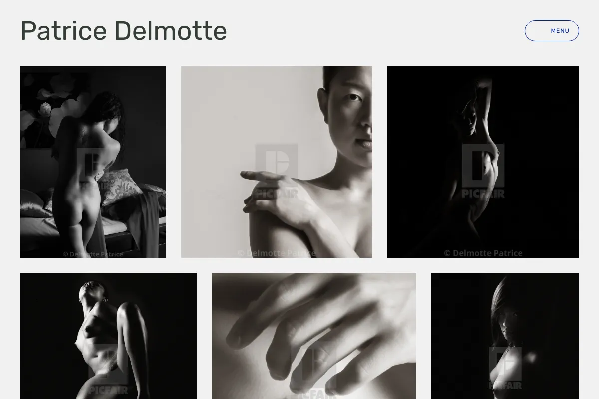 Patrice Delmotte