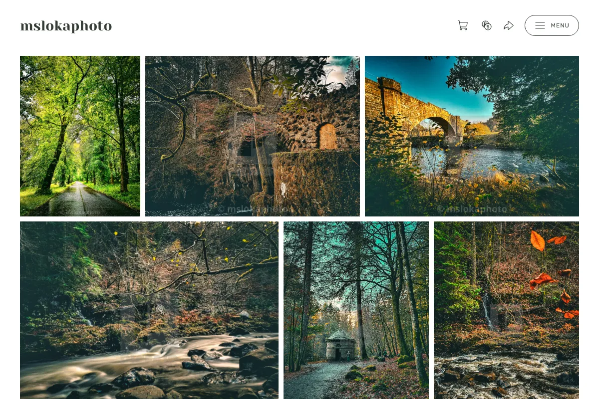 mslokaphoto