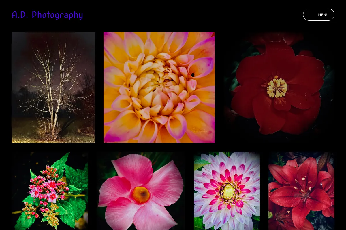 A.D. Photography