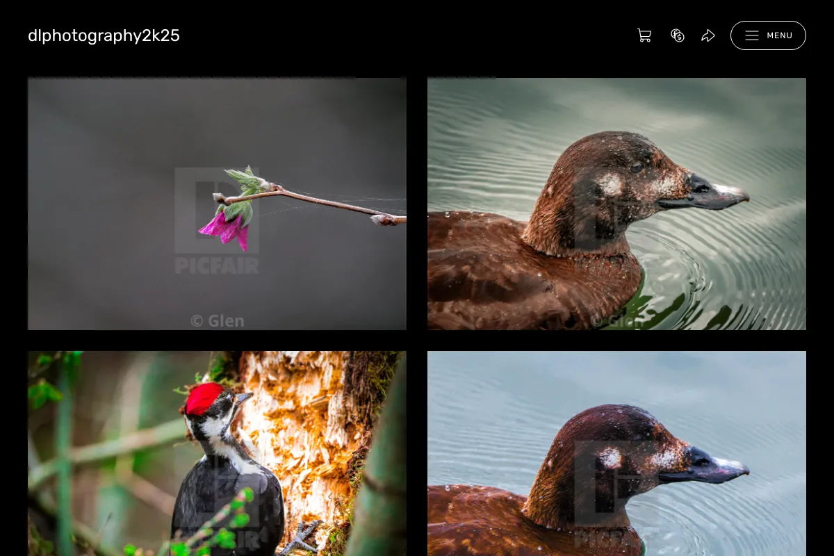 dlphotography2k25