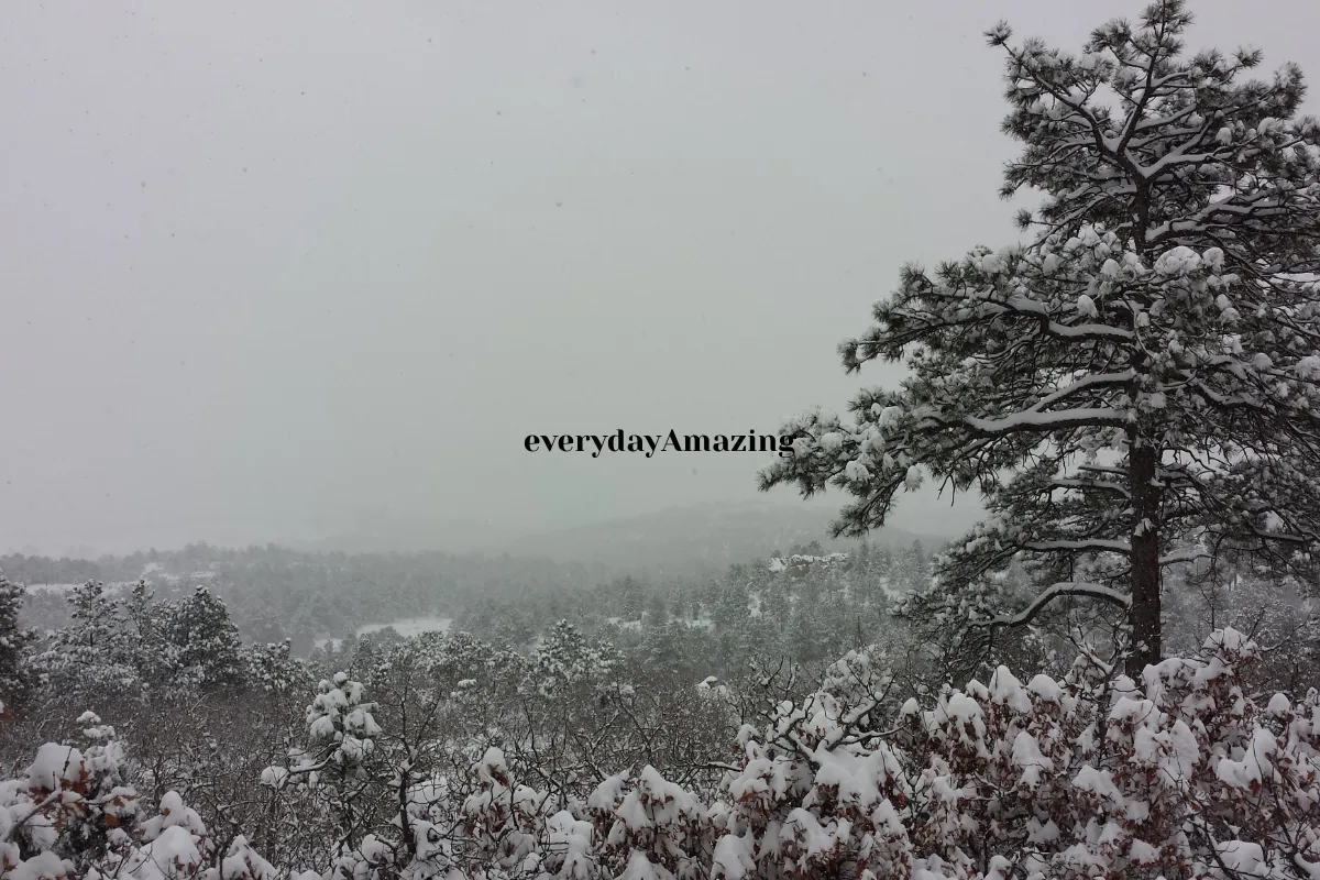everydayAmazing