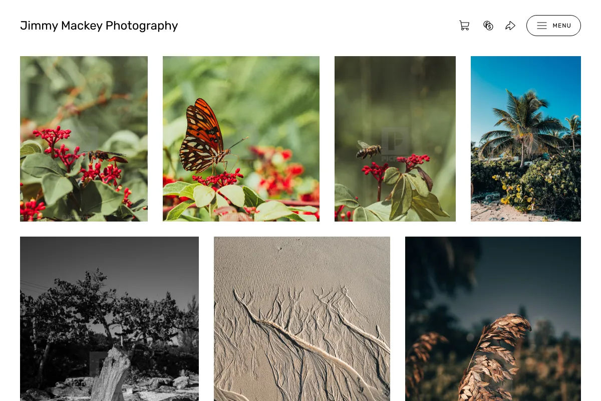 Jimmy Mackey Photography 