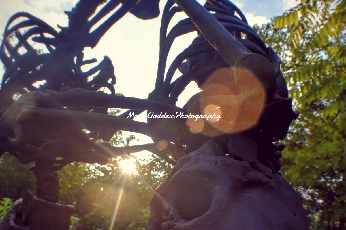 MoonGoddessPhotography