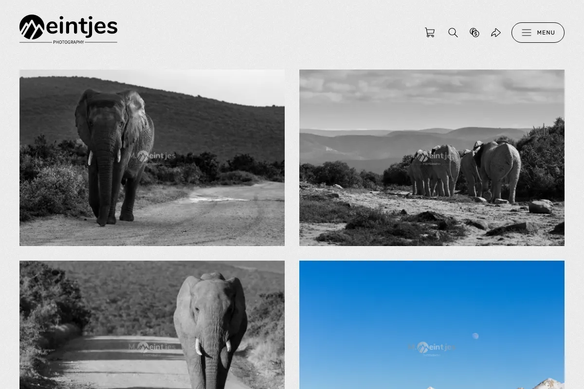 M.Meintjes Photography