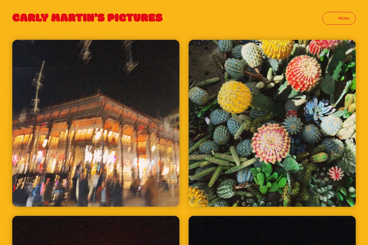 CARLY MARTIN’S PICTURES