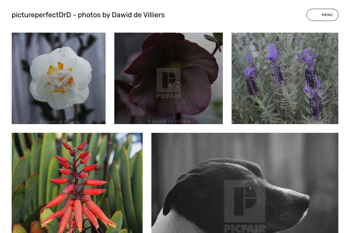 pictureperfectDrD - photos by Dawid de Villiers