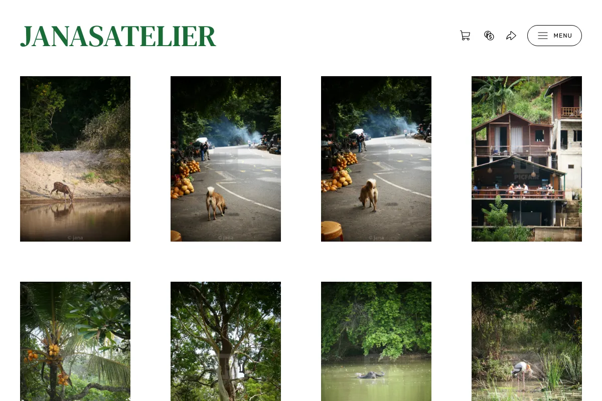 janasatelier