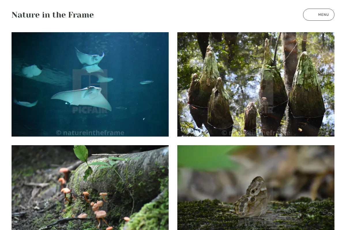 Nature in the Frame