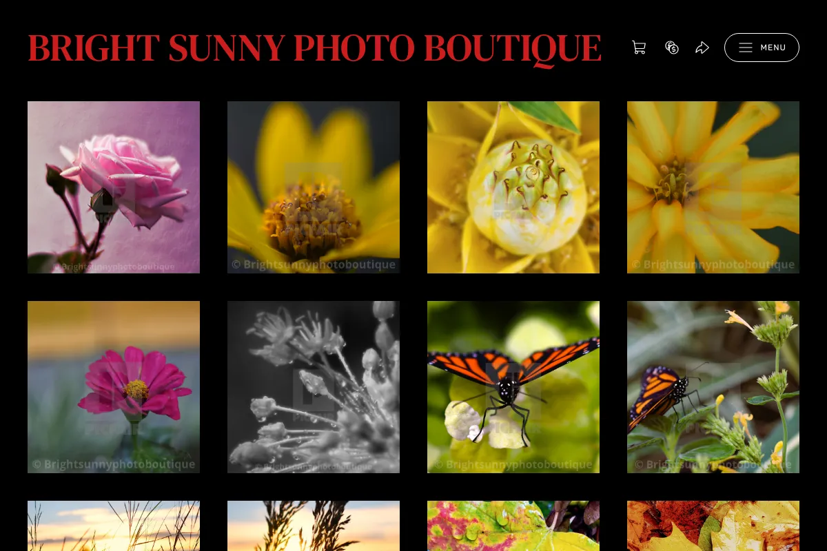 Bright Sunny Photo Boutique
