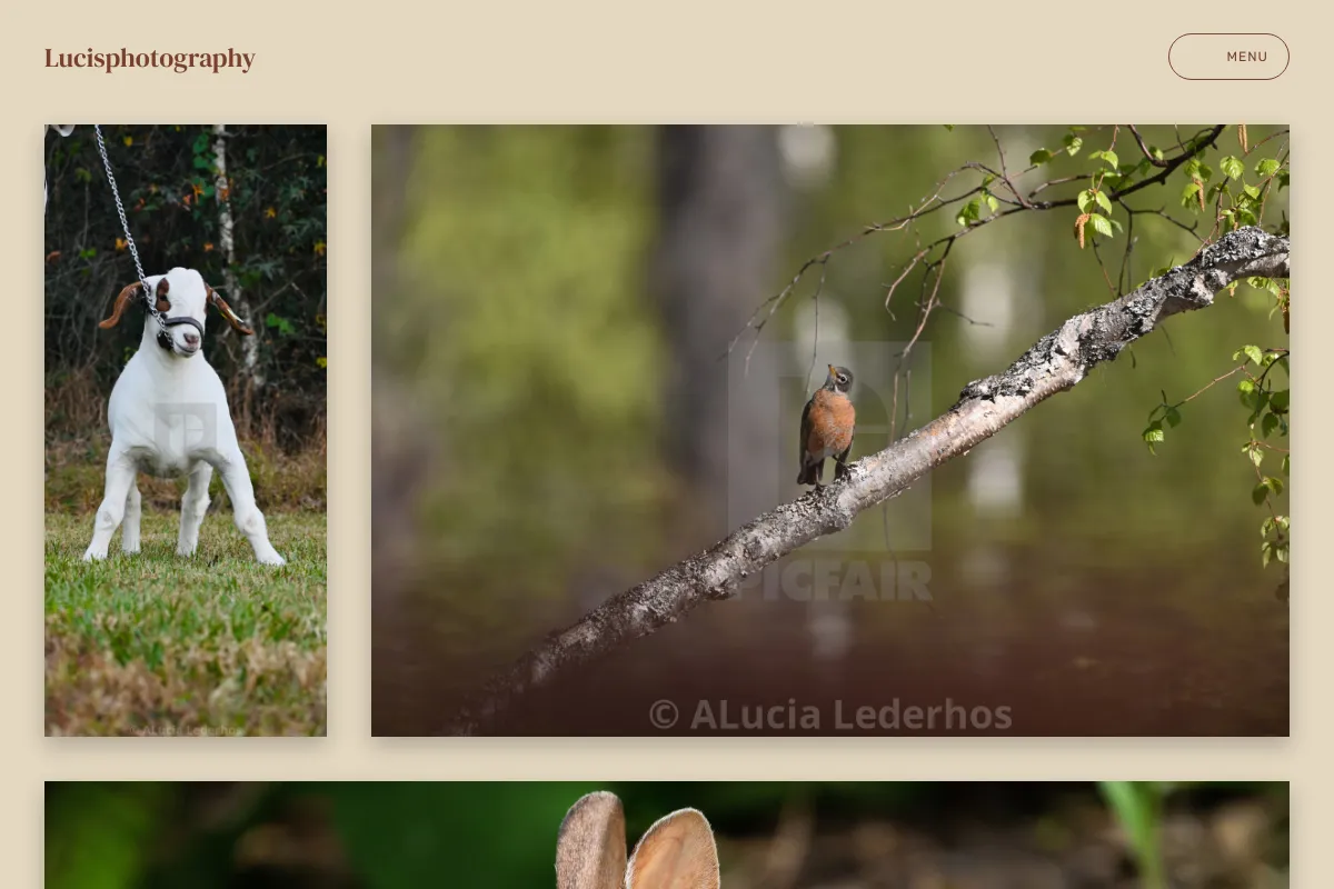 Lucisphotography