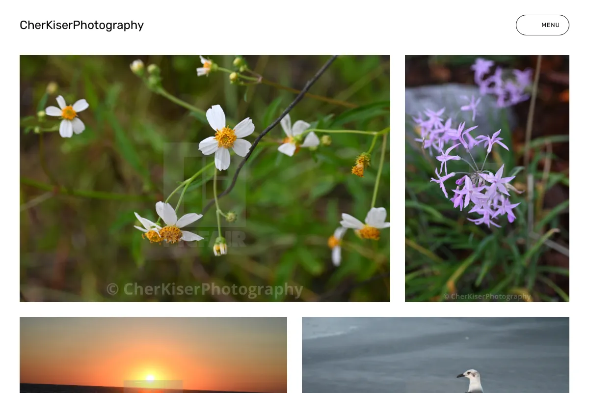 CherKiserPhotography