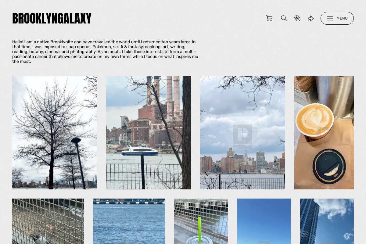 brooklyngalaxy