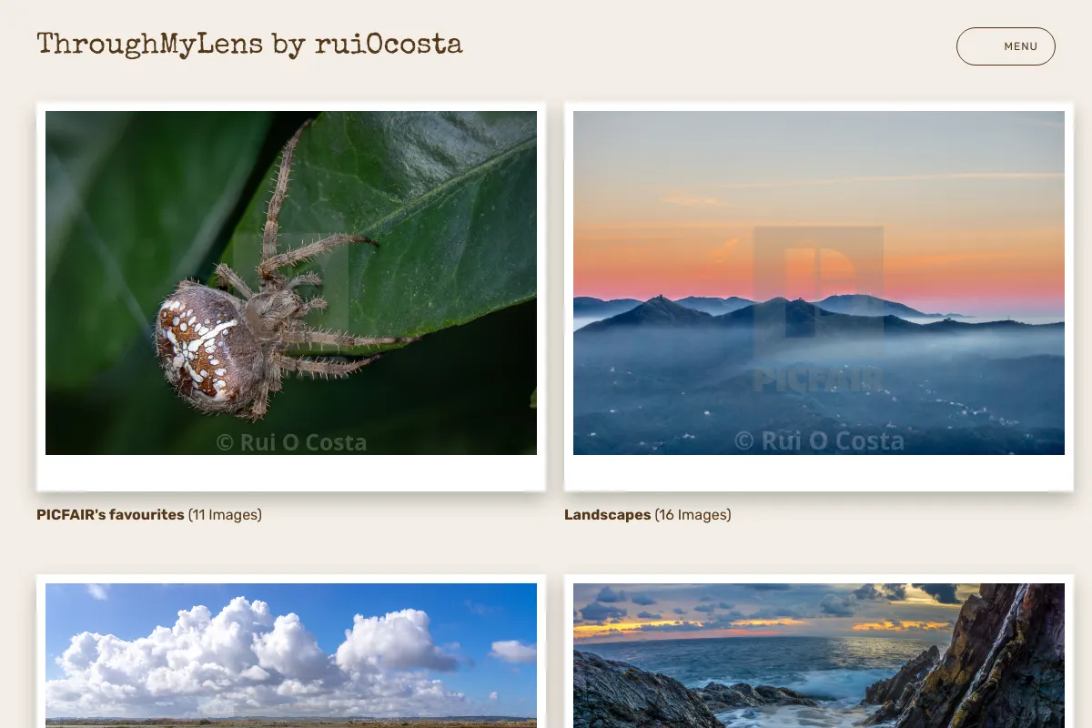 ThroughMyLens by ruiOcosta