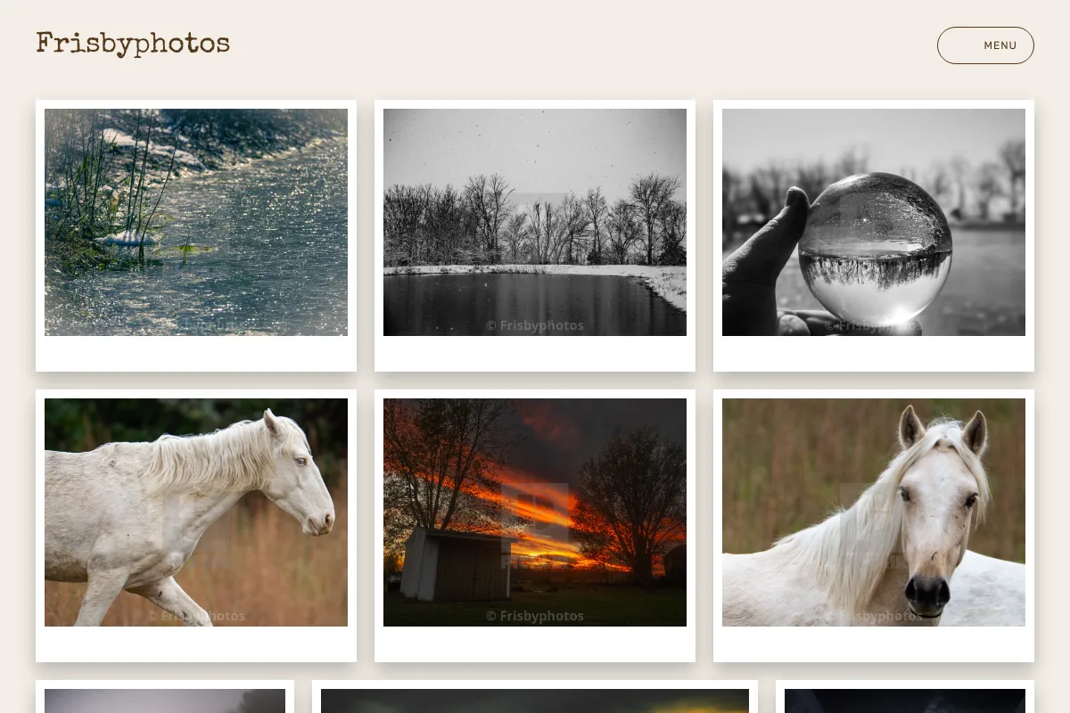 Frisbyphotos
