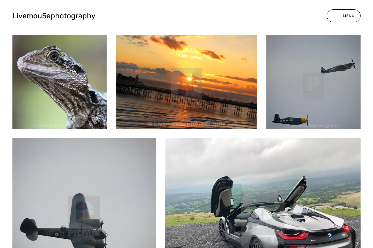 Livemou5ephotography