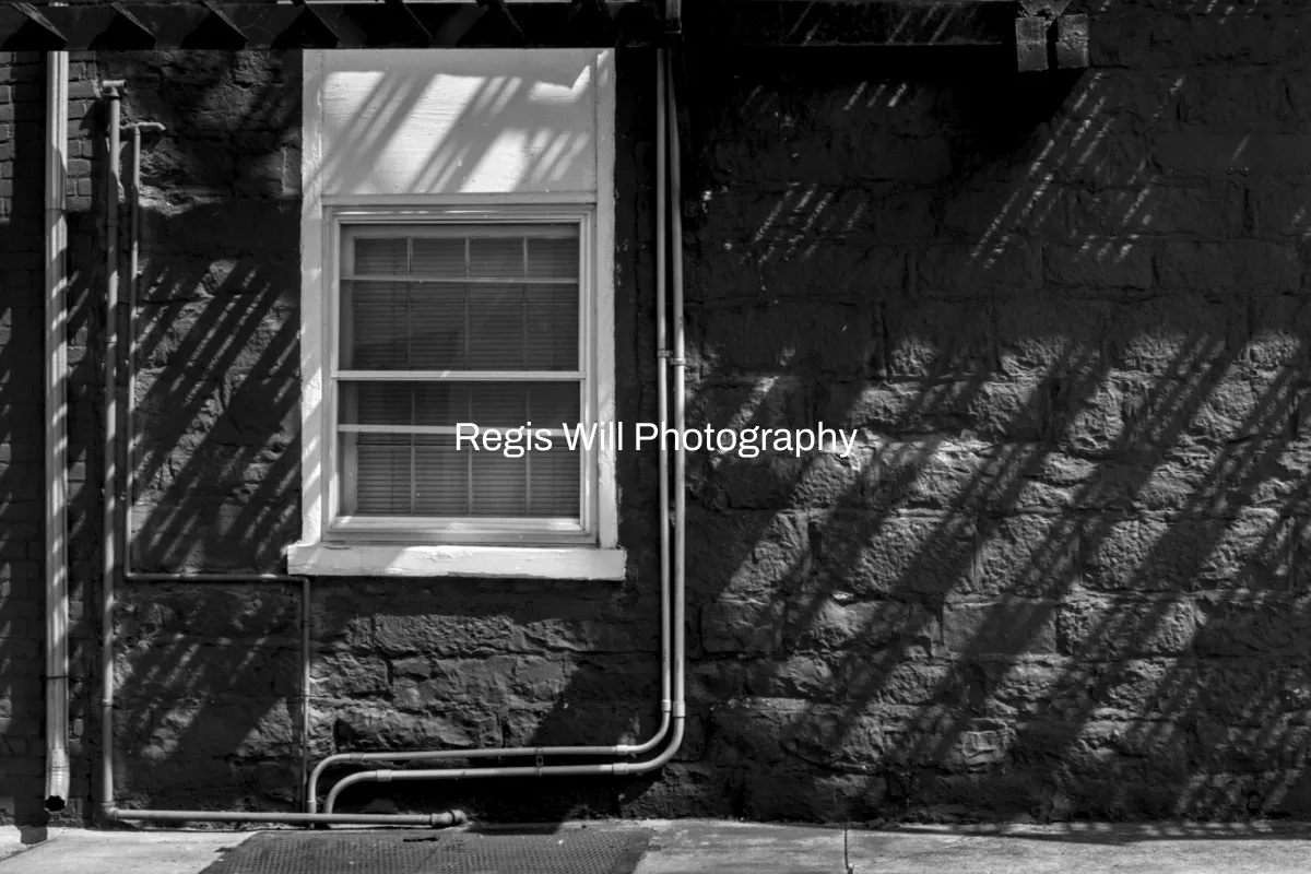 Regis Will Photography